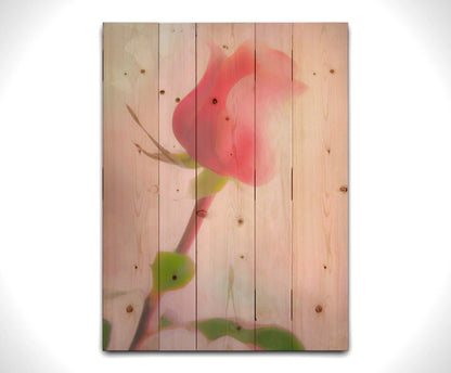 A photo of a pink rose against a light pink background, edited with a painterly effect. Printed on a wood pallet.