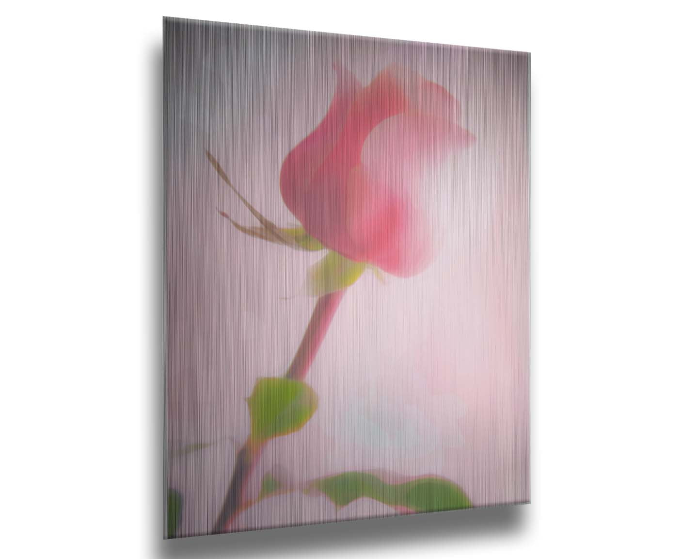 A photo of a pink rose against a light pink background, edited with a painterly effect. Printed on metal.