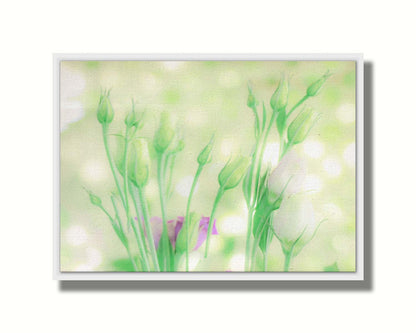 An edited photo of a collection of white and purple rose buds. The background is a pale green with a white bokeh. Printed on canvas in a float frame.