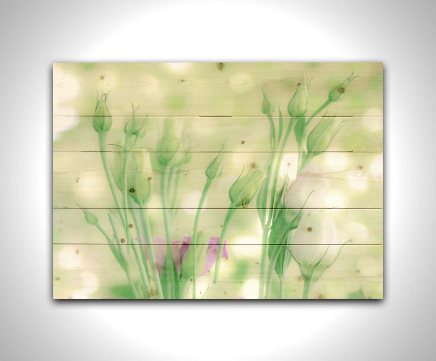 An edited photo of a collection of white and purple rose buds. The background is a pale green with a white bokeh. Printed on a wood pallet.