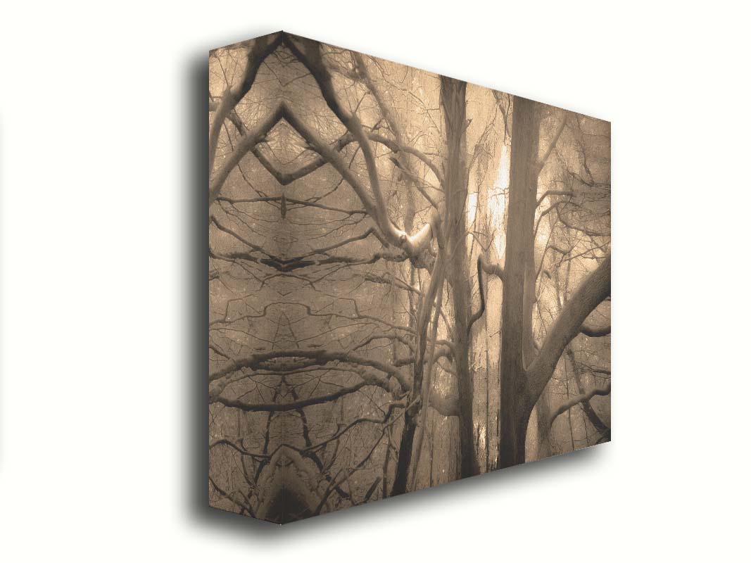 A sepia photo of a forest of tangling tree branches, lit brightly from behind. Printed on canvas.