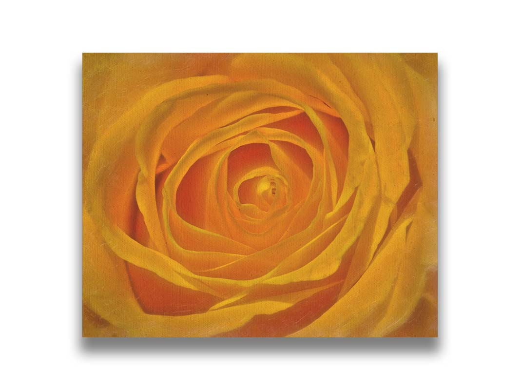 A closeup photo of the center of a yellow rose. Printed on canvas.