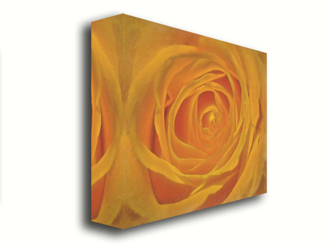 A closeup photo of the center of a yellow rose. Printed on canvas.