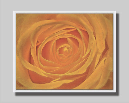 A closeup photo of the center of a yellow rose. Printed on paper, matted, and framed.