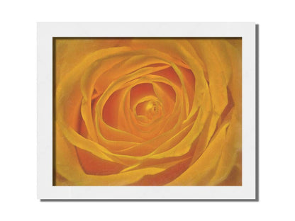 A closeup photo of the center of a yellow rose. Printed on canvas in a float frame.