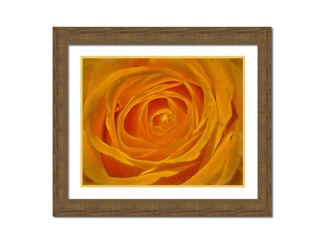 A closeup photo of the center of a yellow rose. Printed on canvas and framed.