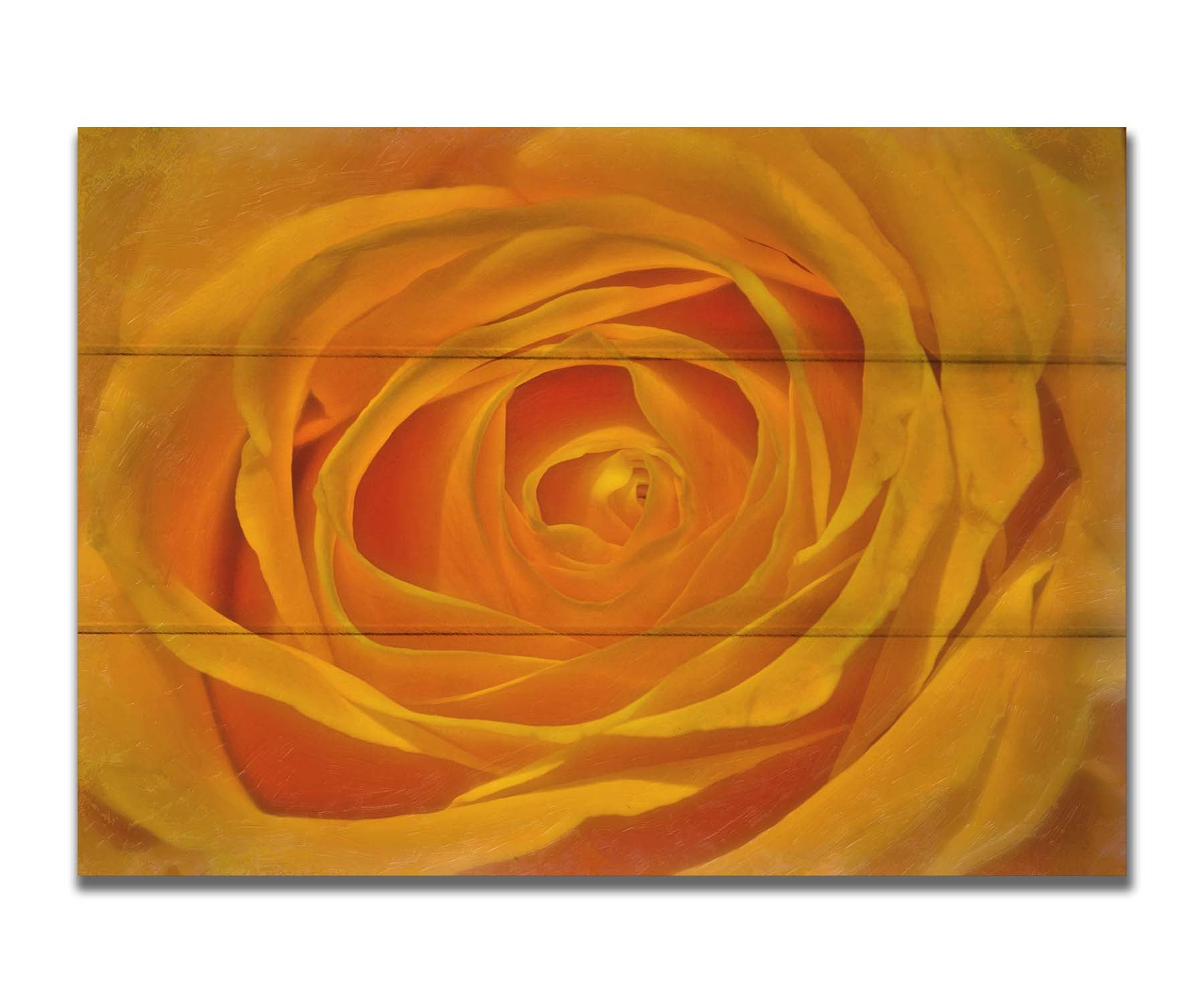 A closeup photo of the center of a yellow rose. Printed on a box board.