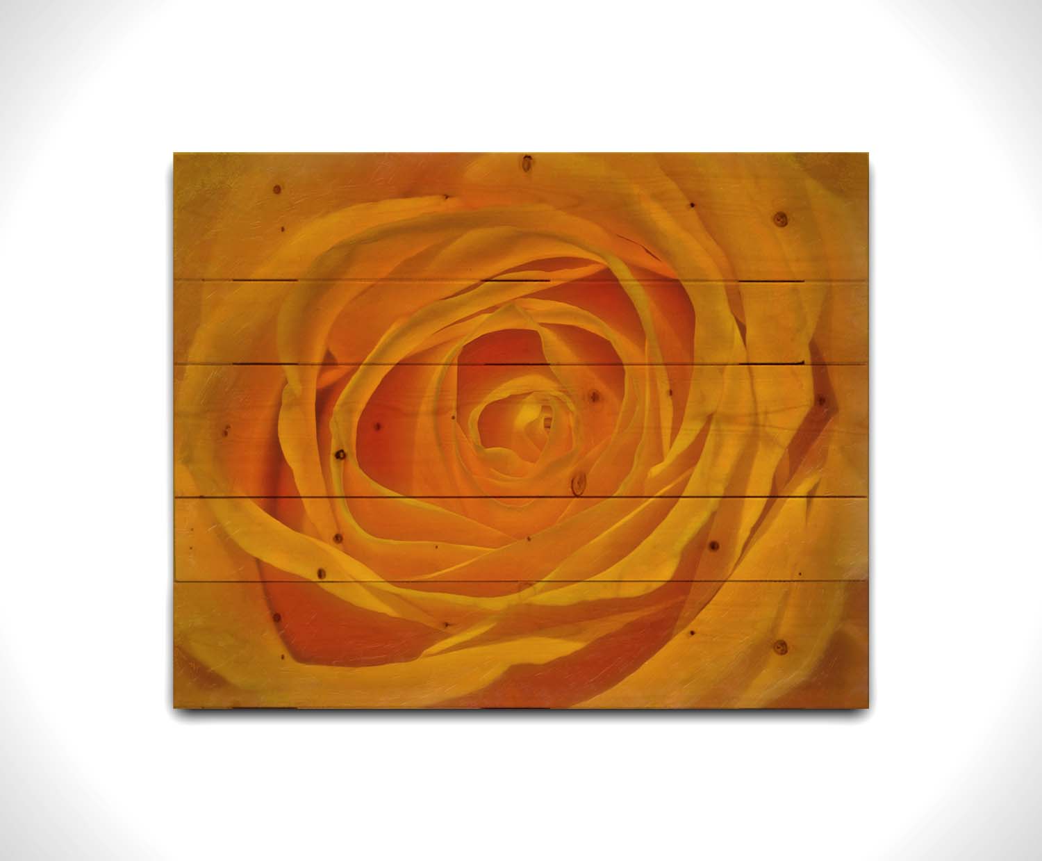 A closeup photo of the center of a yellow rose. Printed on a wood pallet.