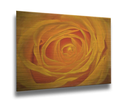 A closeup photo of the center of a yellow rose. Printed on metal.