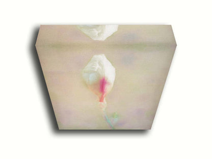 A photo of an unopened pink and white flower blossom in a soft tan background. Printed on canvas.