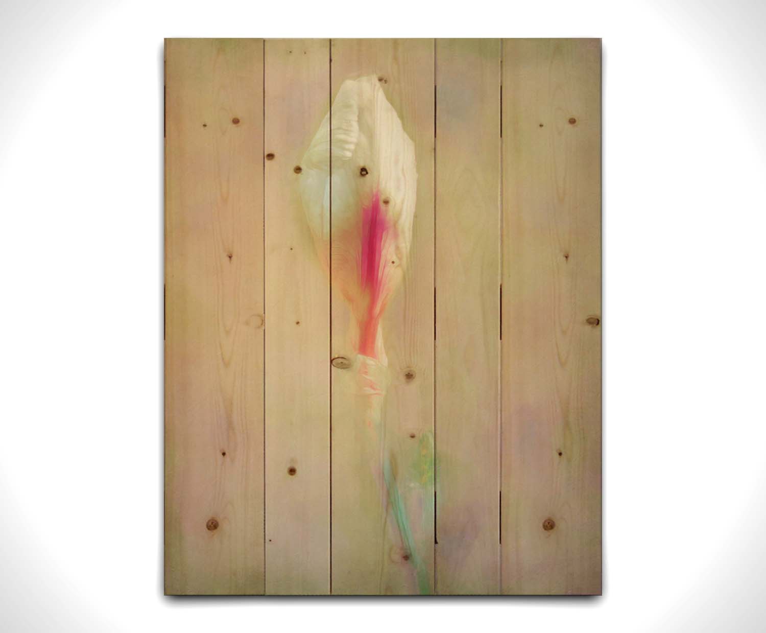 A photo of an unopened pink and white flower blossom in a soft tan background. Printed on a wood pallet.