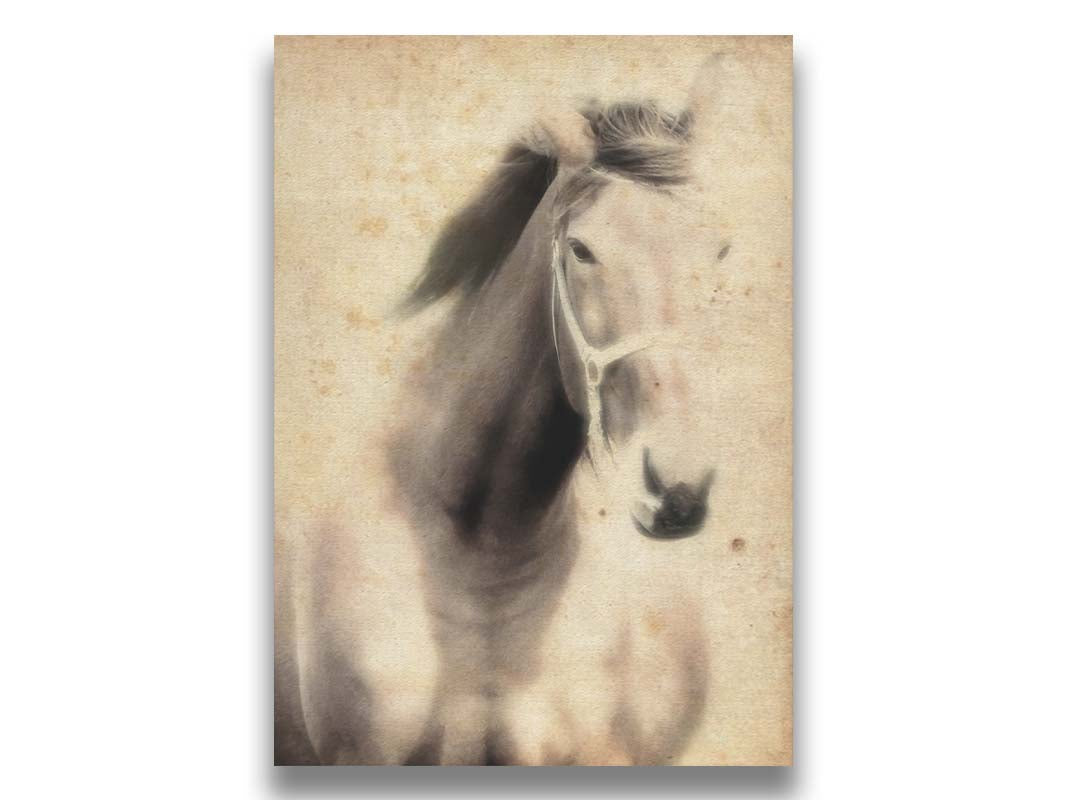 A sepia photo of a horse, overlayed with weathered textures. Printed on canvas.