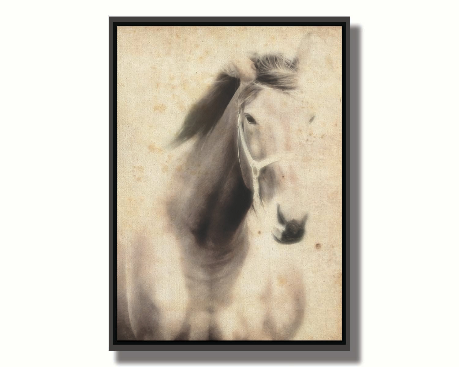 A sepia photo of a horse, overlayed with weathered textures. Printed on canvas in a float frame.