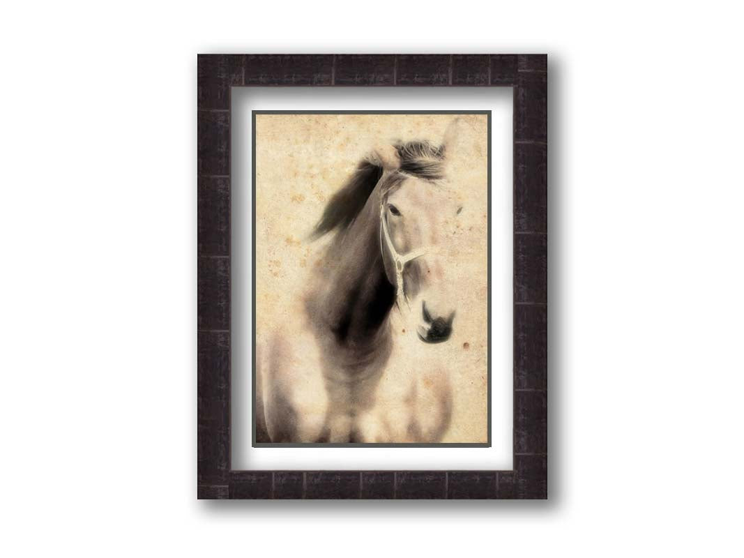 A sepia photo of a horse, overlayed with weathered textures. Printed on paper, matted, and framed.