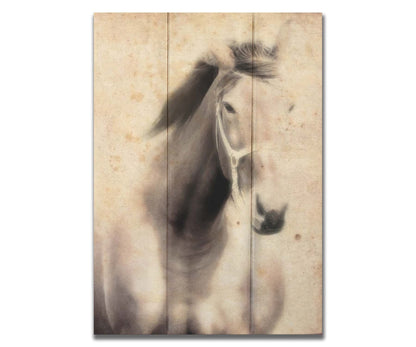 A sepia photo of a horse, overlayed with weathered textures. Printed on a box board.