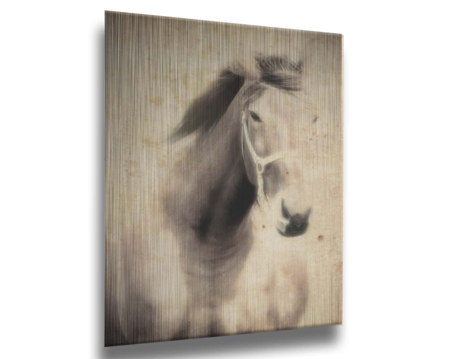 A sepia photo of a horse, overlayed with weathered textures. Printed on metal.