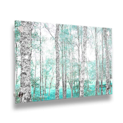 A photograph of a forest of rough trees, edited in grayscale with selective areas of vibrant blue teal on the leaves and grass. Printed on acrylic.