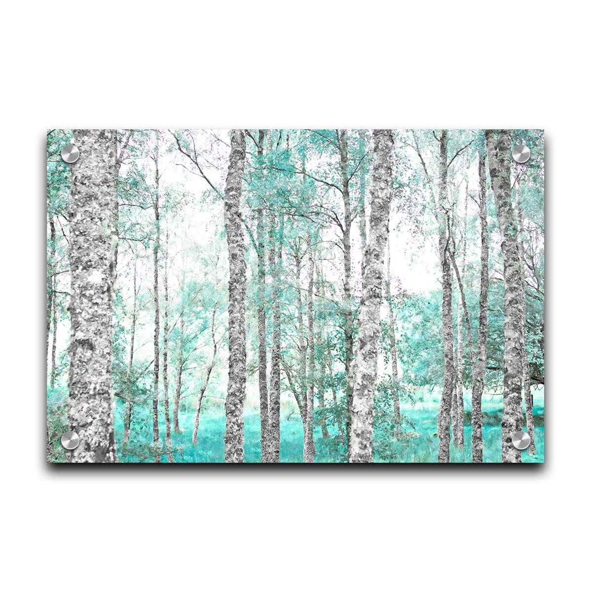 A photograph of a forest of rough trees, edited in grayscale with selective areas of vibrant blue teal on the leaves and grass. Printed on acrylic.