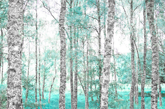 A photograph of a forest of rough trees, edited in grayscale with selective areas of vibrant blue teal on the leaves and grass.