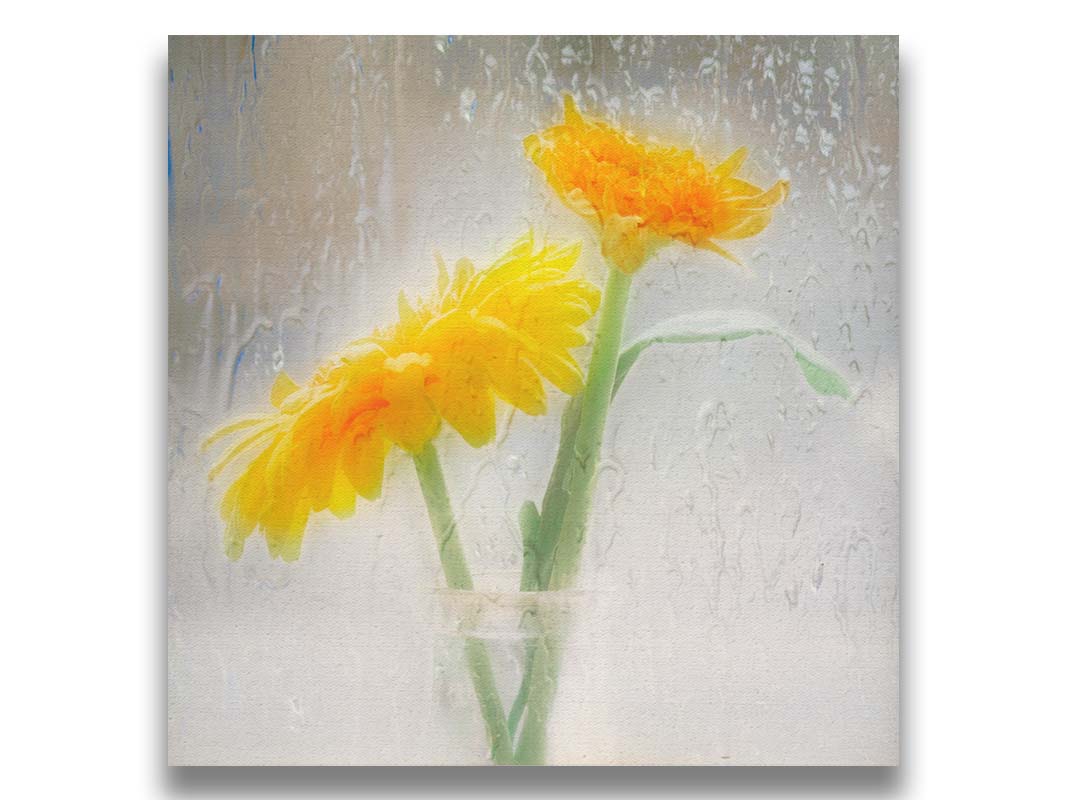 A photo of two yellow flowers in a small glass jar in soft light, edited as viewed through wet glass. Printed on canvas.