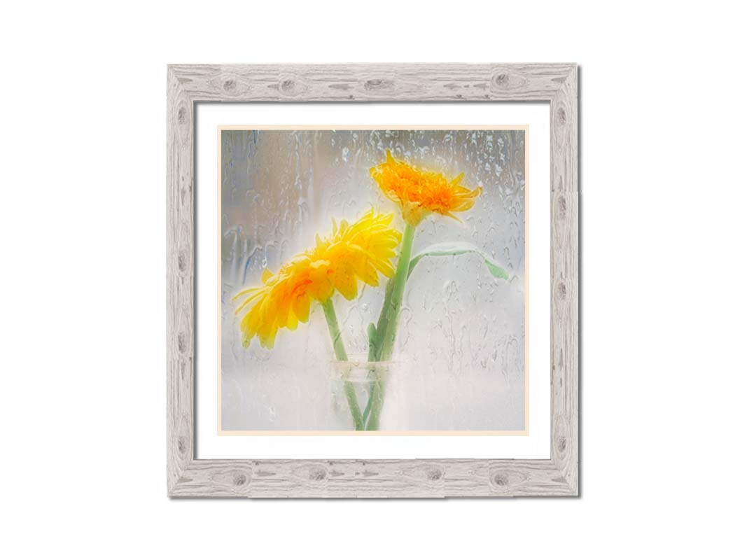 A photo of two yellow flowers in a small glass jar in soft light, edited as viewed through wet glass. Printed on paper, matted, and framed.