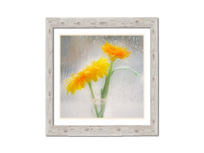 A photo of two yellow flowers in a small glass jar in soft light, edited as viewed through wet glass. Printed on paper, matted, and framed.