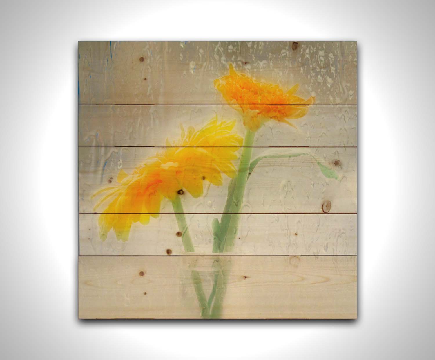 A photo of two yellow flowers in a small glass jar in soft light, edited as viewed through wet glass. Printed on a wood pallet.