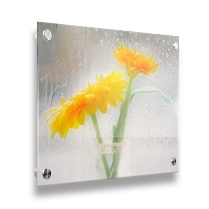 A photo of two yellow flowers in a small glass jar in soft light, edited as viewed through wet glass. Printed on acrylic.