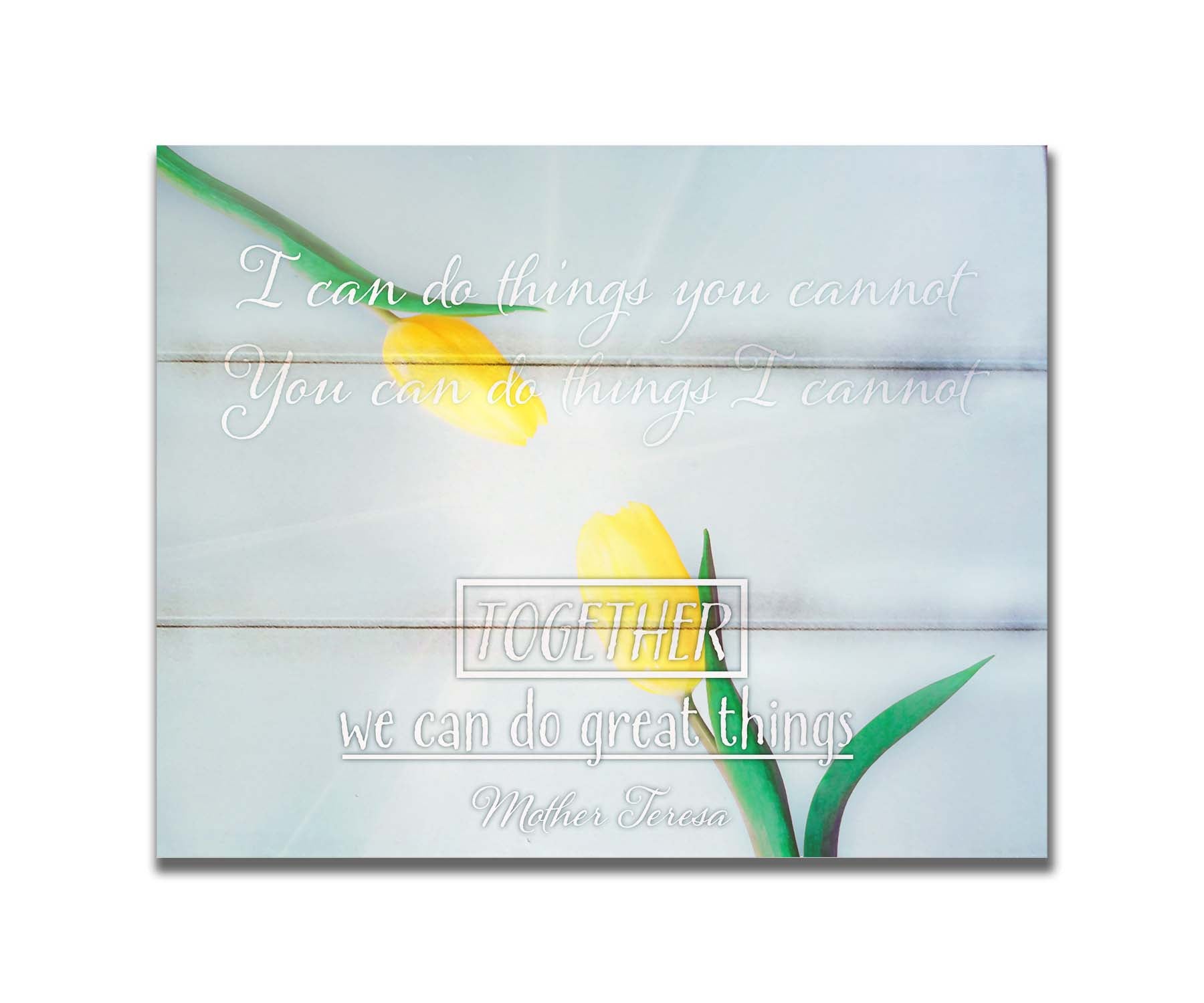 A photograph of two yellow tulips, their petals pointed toward one another. A light shines toward the view from between the tulips. The Mother Teresa quote "I can do things you cannot, you can do things I cannot. Together, we can do great things," is overlaid in white over the photo. Printed on a box board.