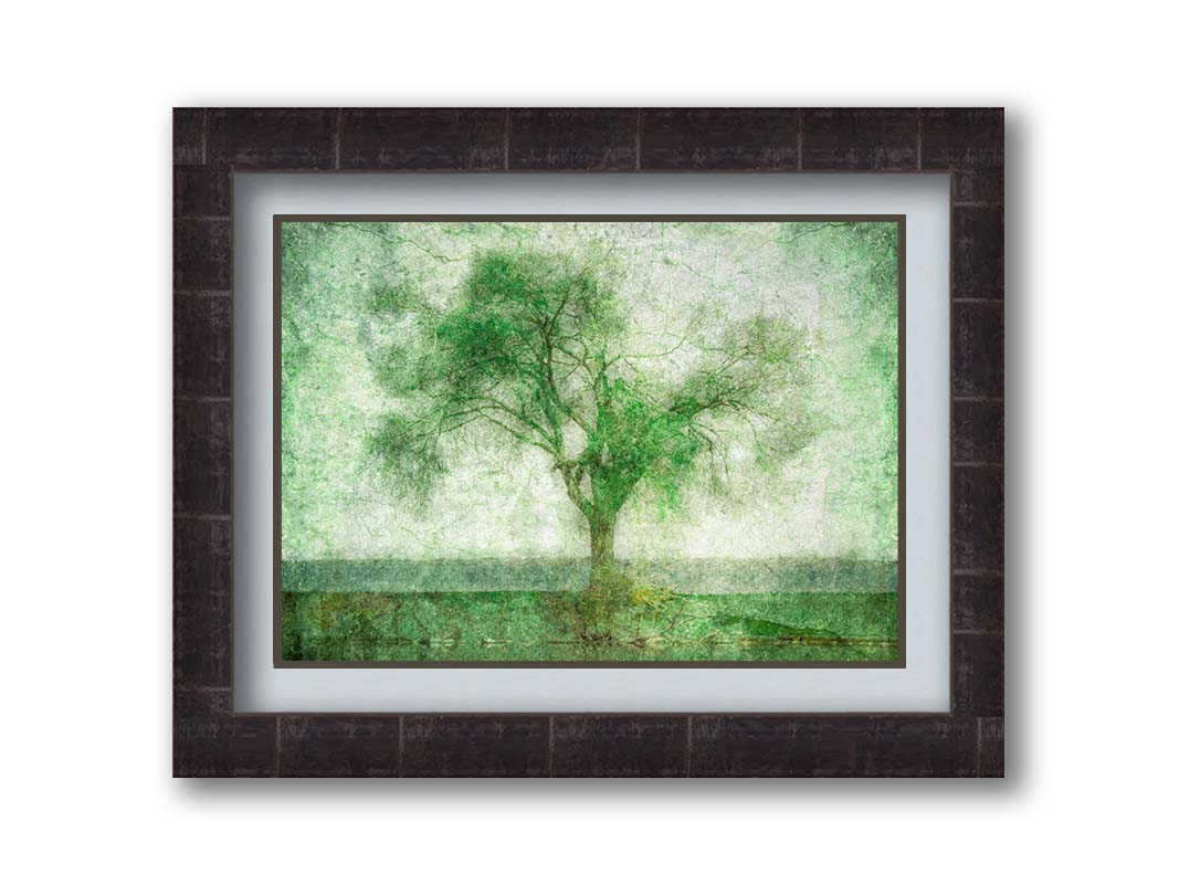 A photo of a tree at a lake, edited in green with a heavy weathered texture. Printed on paper, matted, and framed.