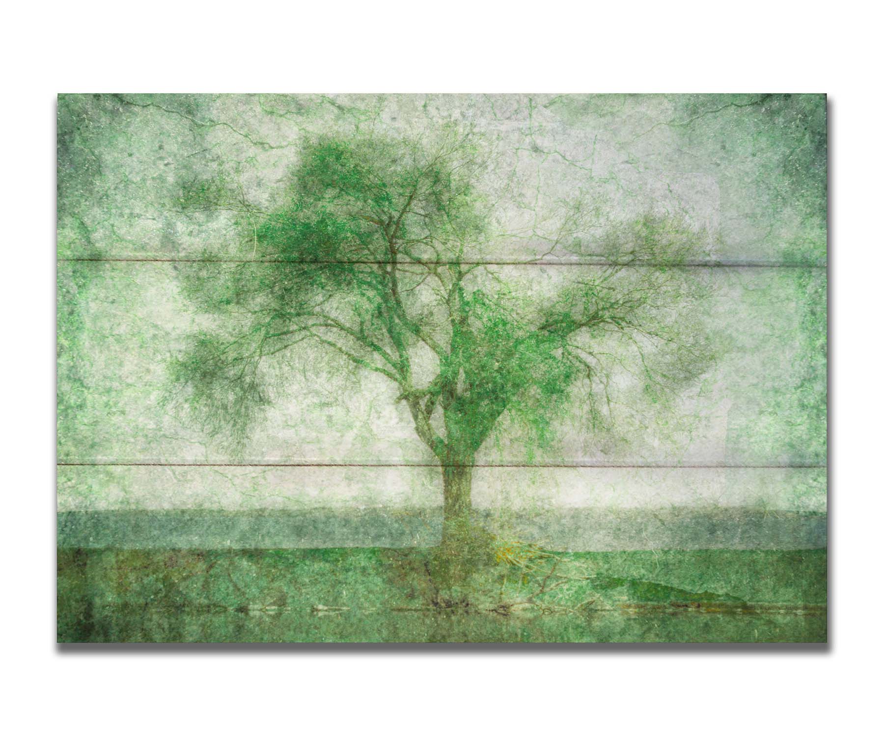 A photo of a tree at a lake, edited in green with a heavy weathered texture. Printed on a box board.