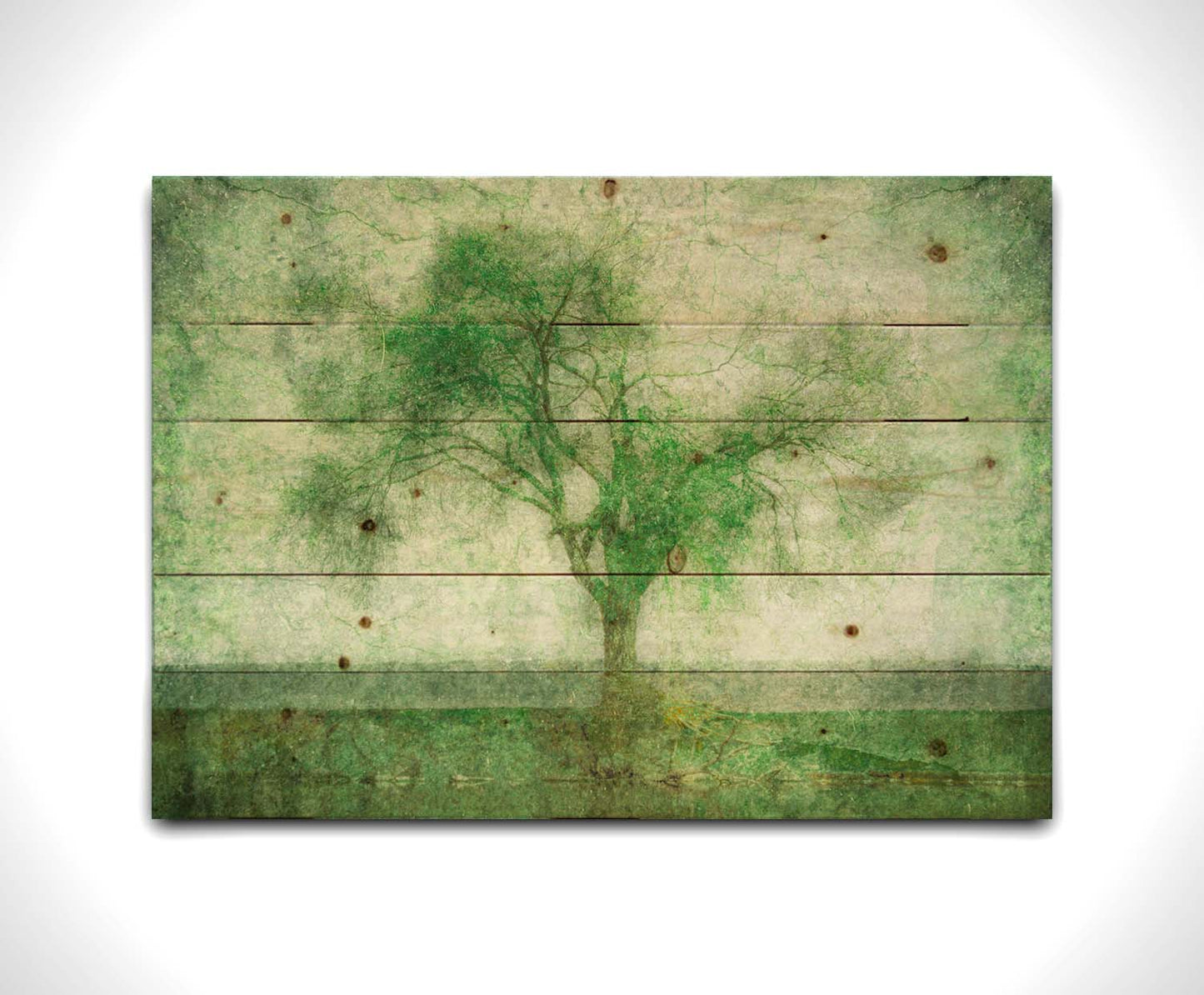 A photo of a tree at a lake, edited in green with a heavy weathered texture. Printed on a wood pallet.