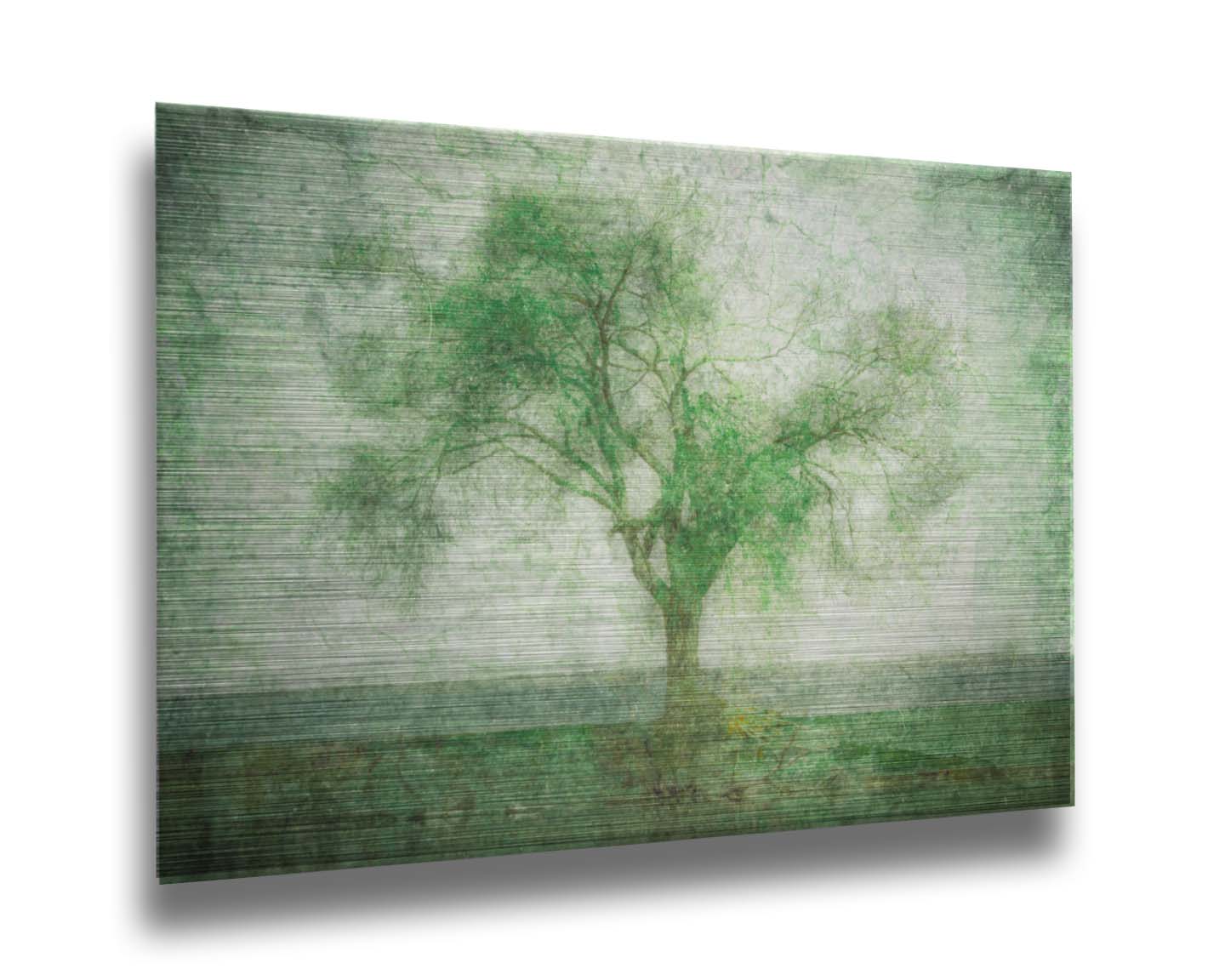 A photo of a tree at a lake, edited in green with a heavy weathered texture. Printed on metal.