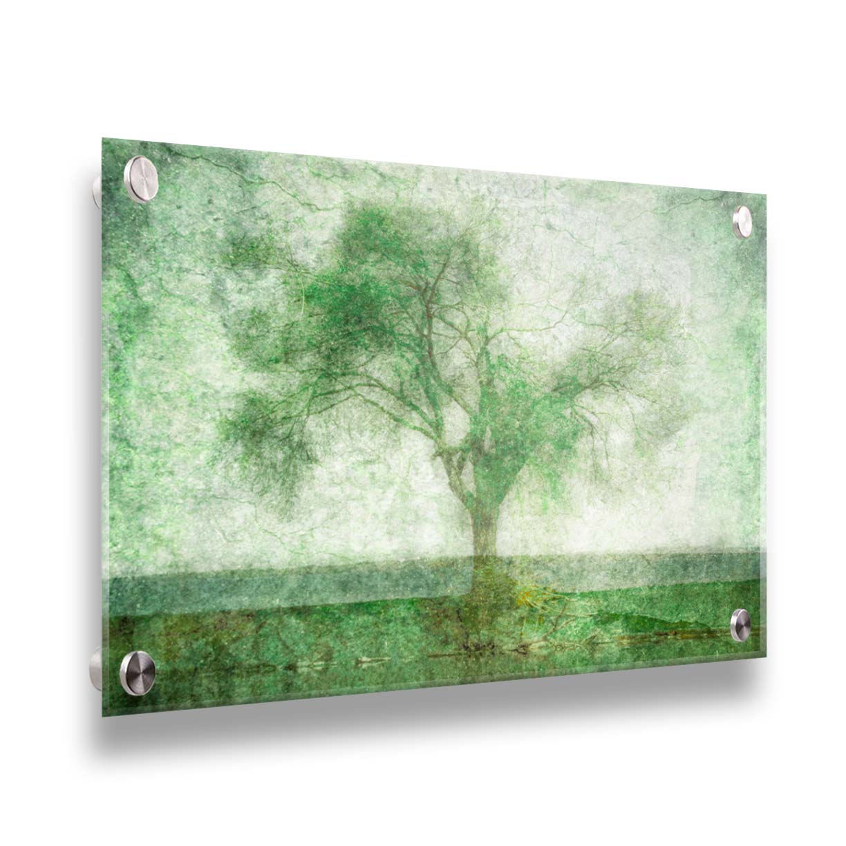 A photo of a tree at a lake, edited in green with a heavy weathered texture. Printed on acrylic.