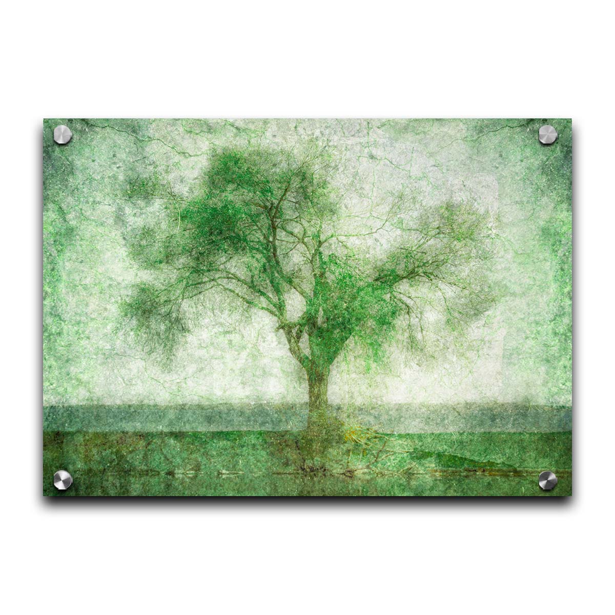 A photo of a tree at a lake, edited in green with a heavy weathered texture. Printed on acrylic.