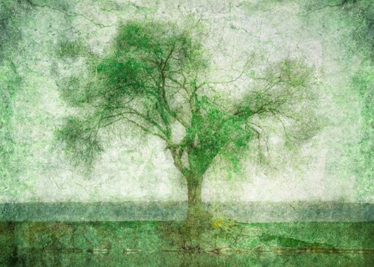 A photo of a tree at a lake, edited in green with a heavy weathered texture. 