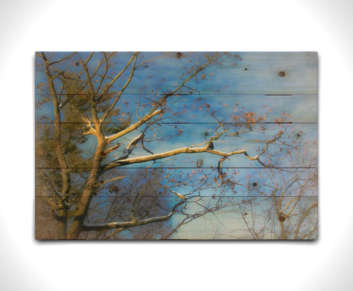 A photo looking up at the snow-covered branched of a tree against a bright blue sky. Printed on a wood pallet.