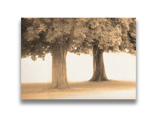 A sepia photo of two trees, the blown out white background adding a dreamlike quality. Printed on canvas.