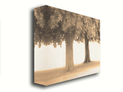 A sepia photo of two trees, the blown out white background adding a dreamlike quality. Printed on canvas.