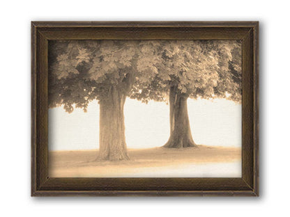 A sepia photo of two trees, the blown out white background adding a dreamlike quality. Printed on canvas and framed.