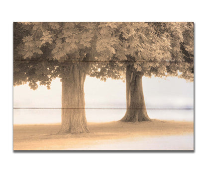 A sepia photo of two trees, the blown out white background adding a dreamlike quality. Printed on a box board.