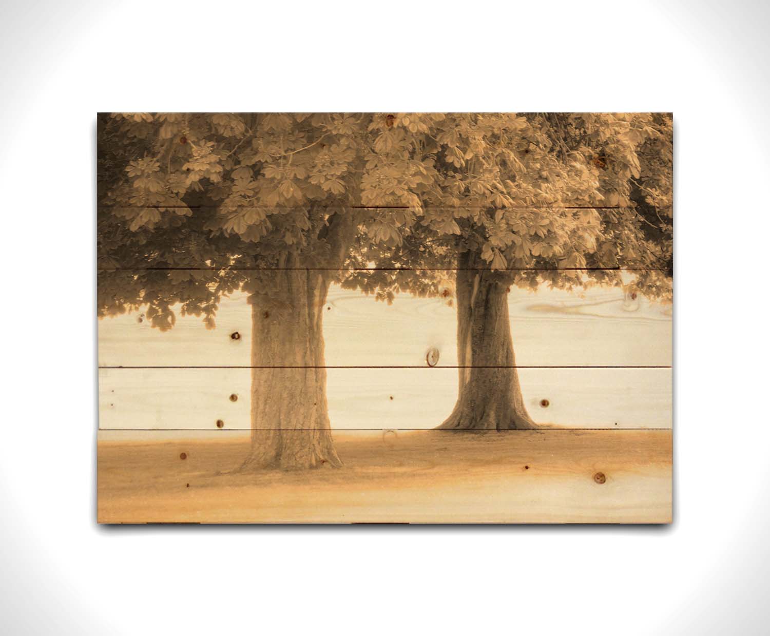 A sepia photo of two trees, the blown out white background adding a dreamlike quality. Printed on a wood pallet.