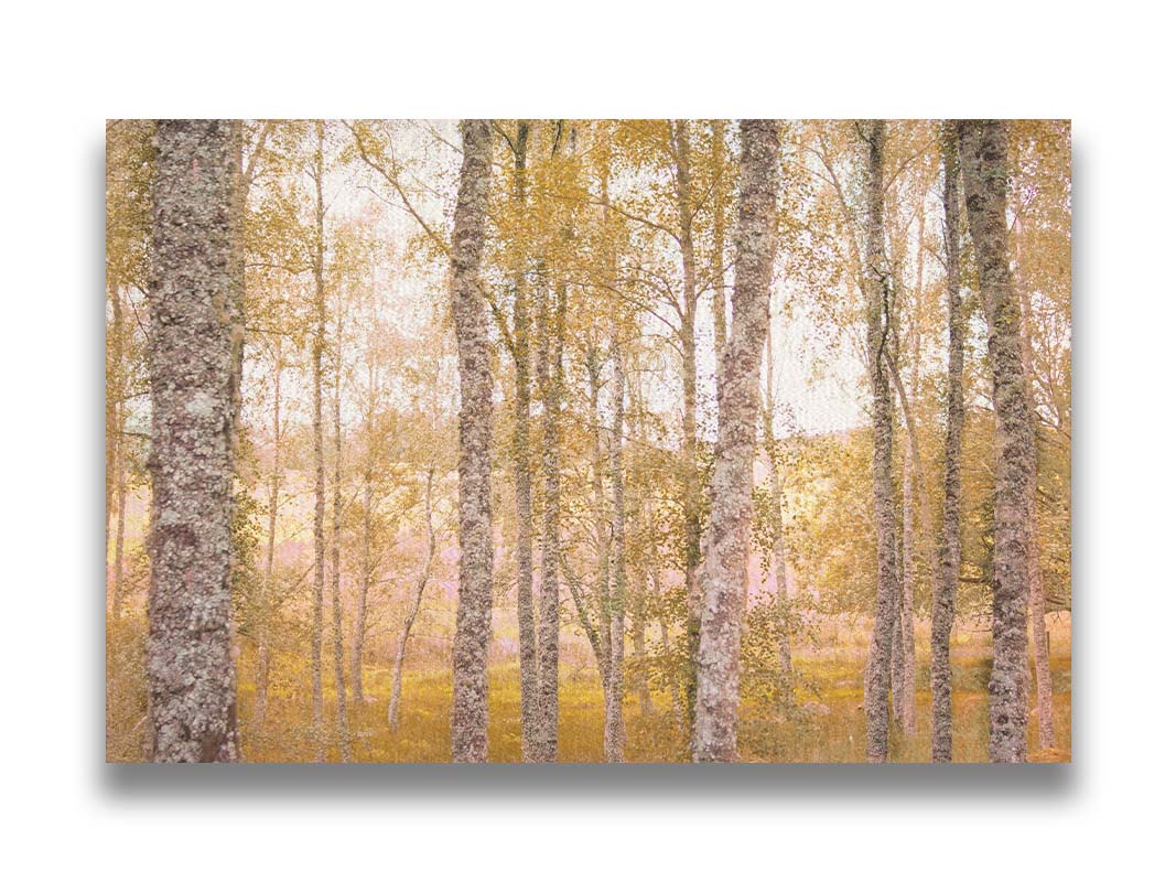 A landscape photo of a forest of yellow autumn trees, edited to be reminiscent of pointilism. Printed on canvas.