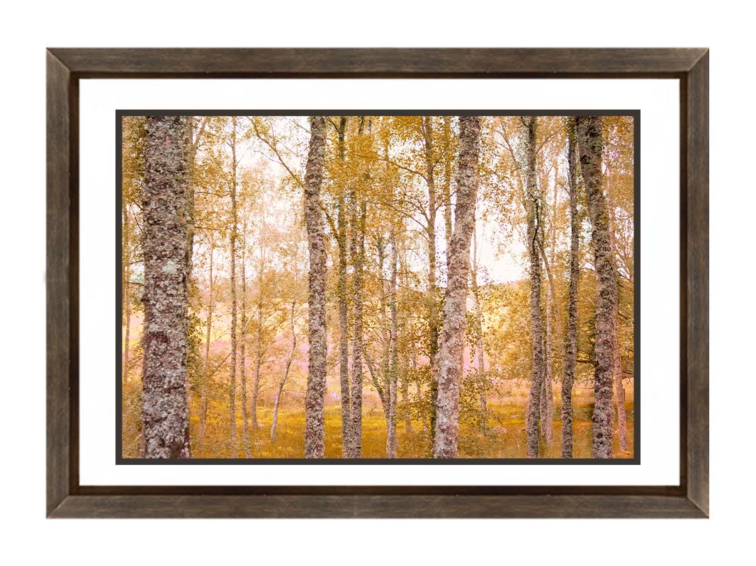 A landscape photo of a forest of yellow autumn trees, edited to be reminiscent of pointilism. Printed on paper, matted, and framed.