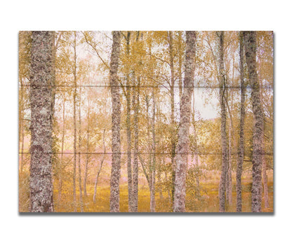 A landscape photo of a forest of yellow autumn trees, edited to be reminiscent of pointilism. Printed on a box board.