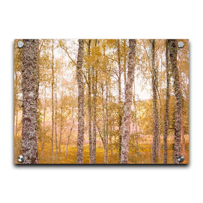 A landscape photo of a forest of yellow autumn trees, edited to be reminiscent of pointilism. Printed on acrylic.