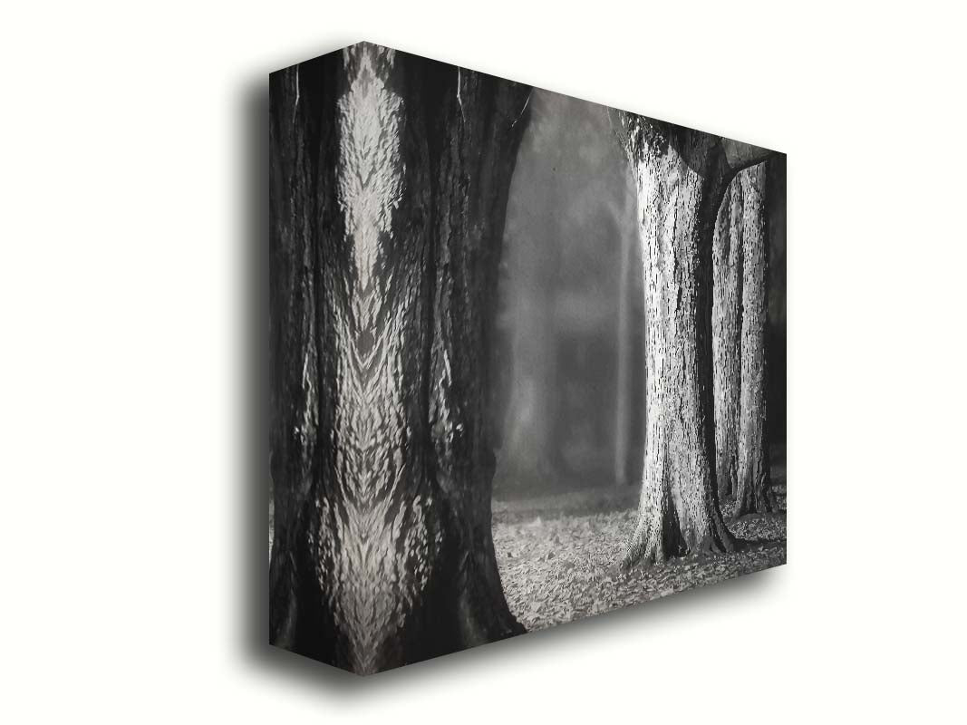 A grayscale photograph of thick trees in fall. The shallow depth of field blurs the misty background, emphasizing the crisp textures of the bark in the foreground. Printed on canvas.