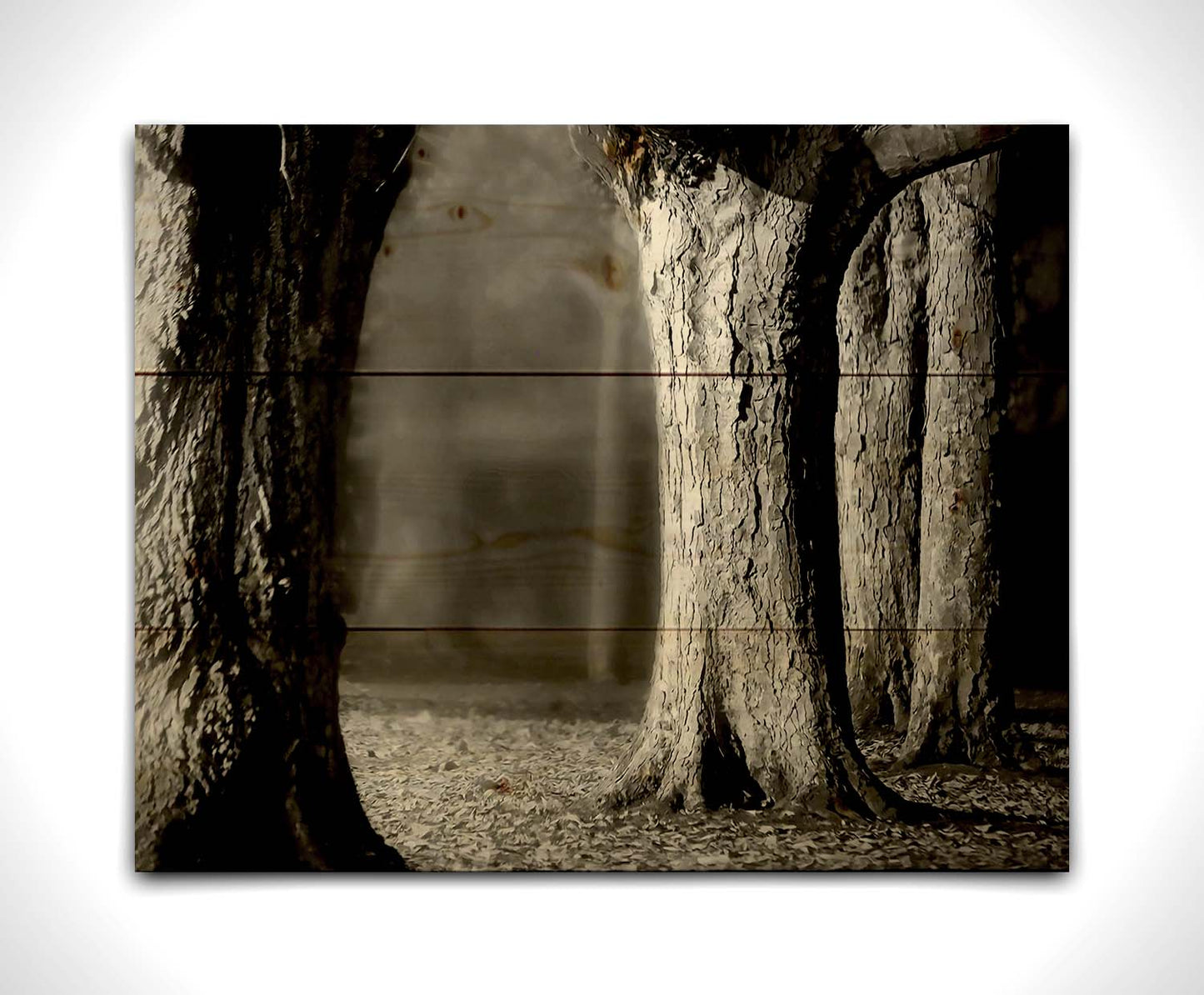 A grayscale photograph of thick trees in fall. The shallow depth of field blurs the misty background, emphasizing the crisp textures of the bark in the foreground. Printed on a wood pallet.