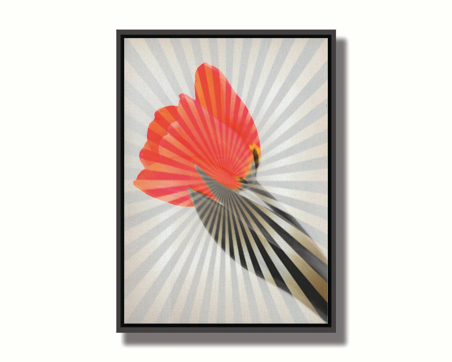 A photo of a tulip, edited in grayscale with selectively colored red petals and overlayed with a radial pattern of lines. Printed on canvas in a float frame.