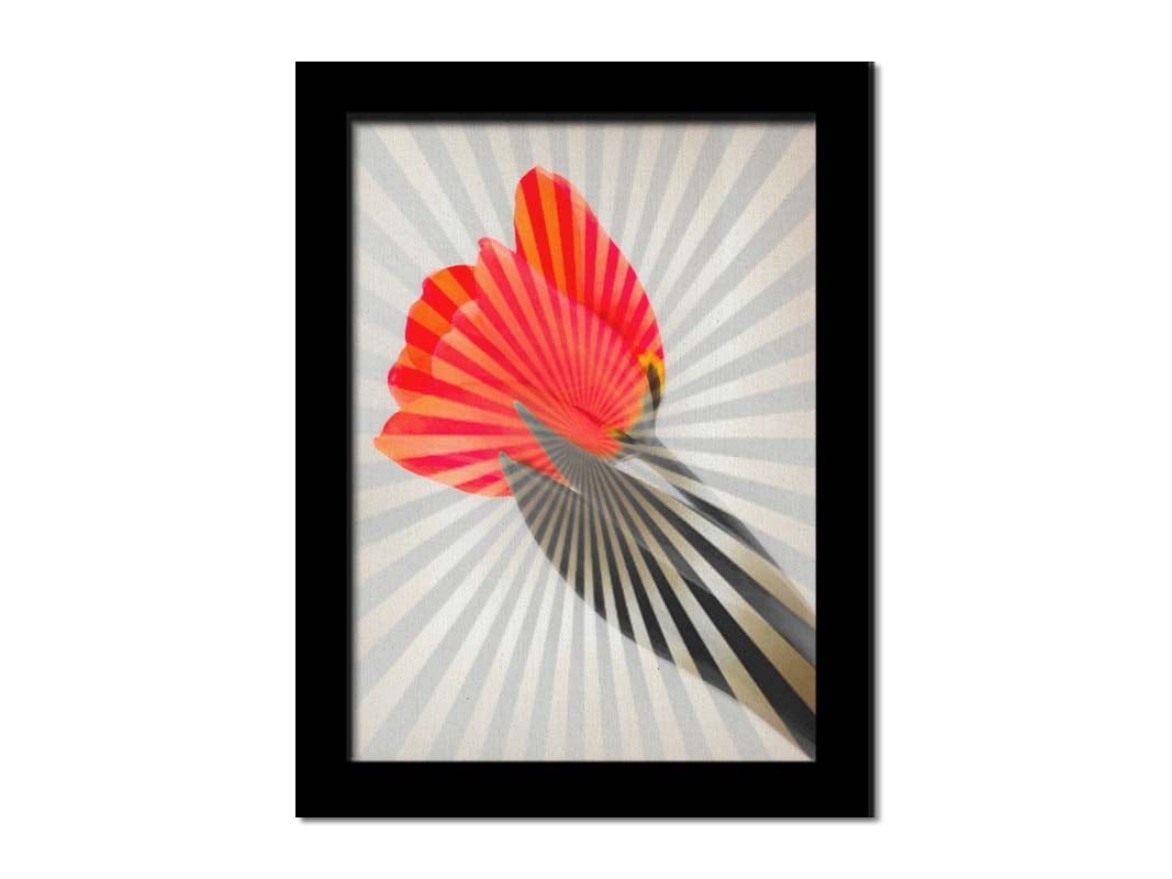 A photo of a tulip, edited in grayscale with selectively colored red petals and overlayed with a radial pattern of lines. Printed on canvas and framed.